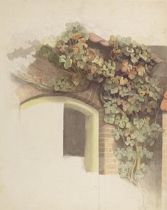 Unknown Image