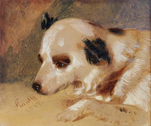 Head of a Dog by Johann Matthias Ranftl