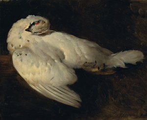 Dead Ptarmigan