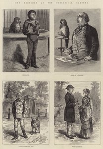 Odd Sketches at the Zoological Gardens