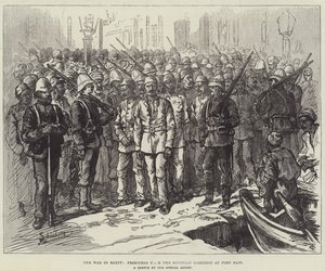 The War in Egypt, Prisoners from the Egyptian Garrison at Port Said by Johann Nepomuk Schonberg