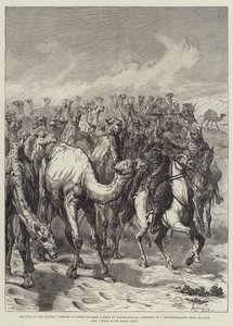 The War in the Sudan, Capture of Three Hundred Camels by Major-General Sartorius in a Reconnaissance from Suakin