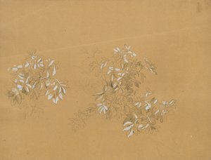 Bushes by Johann Peter Krafft