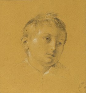 Head of a Boy