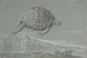 Study of a Turtle, and View of a Fortified City by the Sea (Venice) by Johann Salomon Wahl