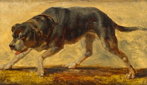 Dog Study by Johann  Till der Jüngere