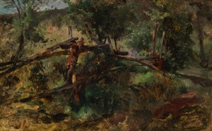 Forest Path with Fence by Johann  Till der Jüngere