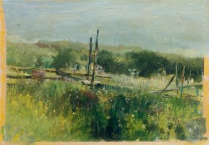 Meadow with Fence by Johann  Till der Jüngere