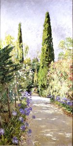 Corfu: Cypress Trees and Oleander
