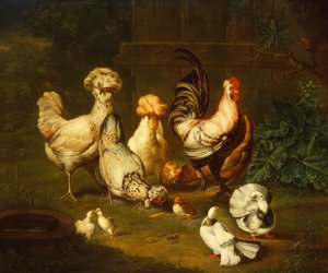 Poultry in a Landscape
