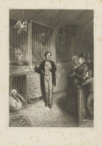 Animals Watching by Johann Wilhelm Kaiser (I)