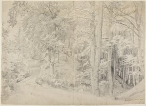 In the Beech Forest by Johann Wilhelm Schirmer