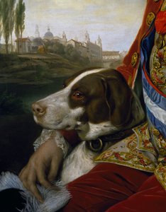 Dog (detail)