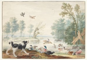 A Dog and Ducks by a Lake