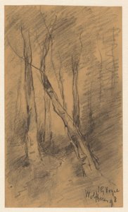 Forest Landscape near Wolfheze by Johannes Gijsbert Vogel