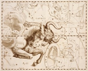Taurus (zodiac sign), engraving from Firmamentum Sobiescianum sive Uranographia, Complete star catalogue, by Johann Hevelius, printed in Gdansk by Johannes Hevelius