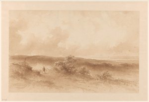 Dune Landscape