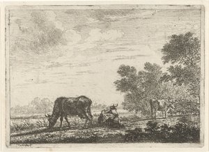 Three Cows in a Meadow