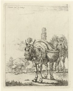 Two Packed Mules