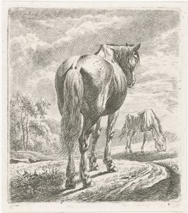 Horse Seen from Behind by Johannes Mock