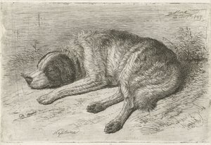 Sleeping Dog Facing Left (Neptune) by Johannes Mock