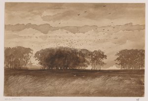 Rook Colony in North Brabant by Johannes Tavenraat (signed by artist)