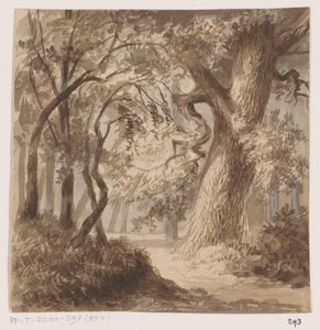 Forest Landscape by Johannes Tavenraat
