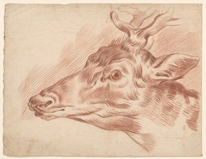 Head of a Deer, Facing Left by Johannes Tavenraat
