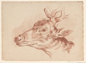 Head of a Deer, Facing Left by Johannes Tavenraat
