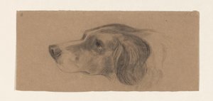 Head of a Dog, Facing Left by Johannes Tavenraat