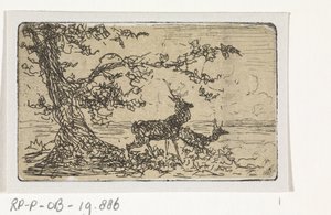 Two Deer Under a Tree by Johannes Tavenraat