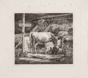 A Cow Stable