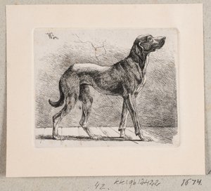A Standing Dog by Johannes Wilhelm Zillen