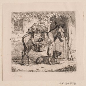 The Chicken Dealer