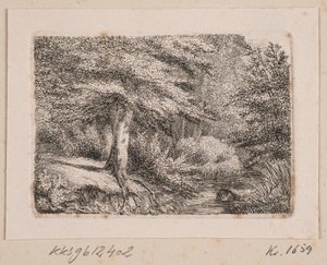 Forest Scene by Johannes Wilhelm Zillen