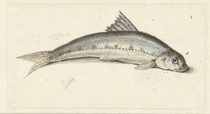 Gondola by Johannes le Francq van Berkhey