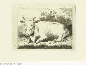 Lying Cow