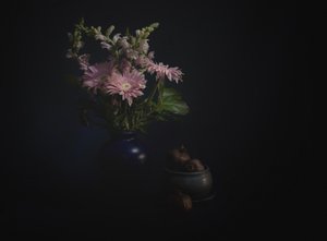 Dark Floral Still Life