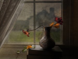 Dried Roses Window View by John-Mei Zhong