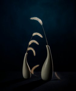 Moody Botanical Vases