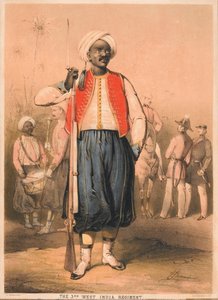 Soldier, 3rd West India Regiment