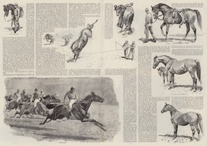 The Career of a Racehorse by John (after) Charlton