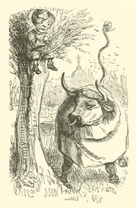 Bull and Boy by John (after) Leech
