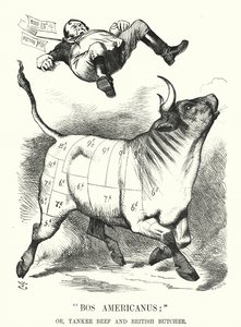 Punch Cartoon: Bos Americanus; or, Yankee Beef and British Butcher - Expected Benefits to Consumers of Importing American Meat by John (after) Tenniel