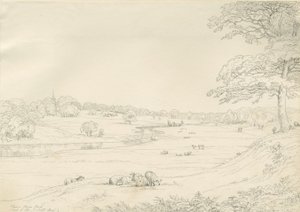 Great Barr Park