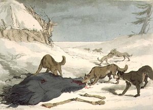 The Wolf Hunt, plate 74 from Volume III of 