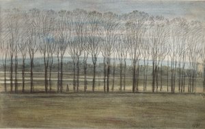 View from Merton College