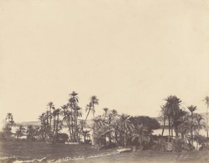 Banks of the Nile, Kalabsche by John Beasley Greene