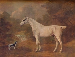 A Flea-Bitten Grey and a Spotted Terrier by John Boultbee