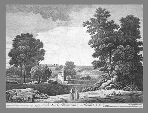 A View Near Mold